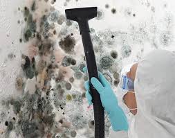 Best Emergency Mold Remediation  in Oblong, IL